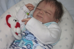 franklin (1)