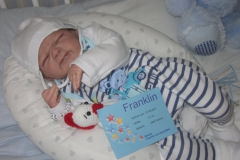 franklin (2)
