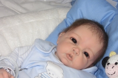 luca (1)