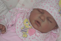 nelly (2)