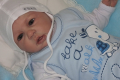peter (2)